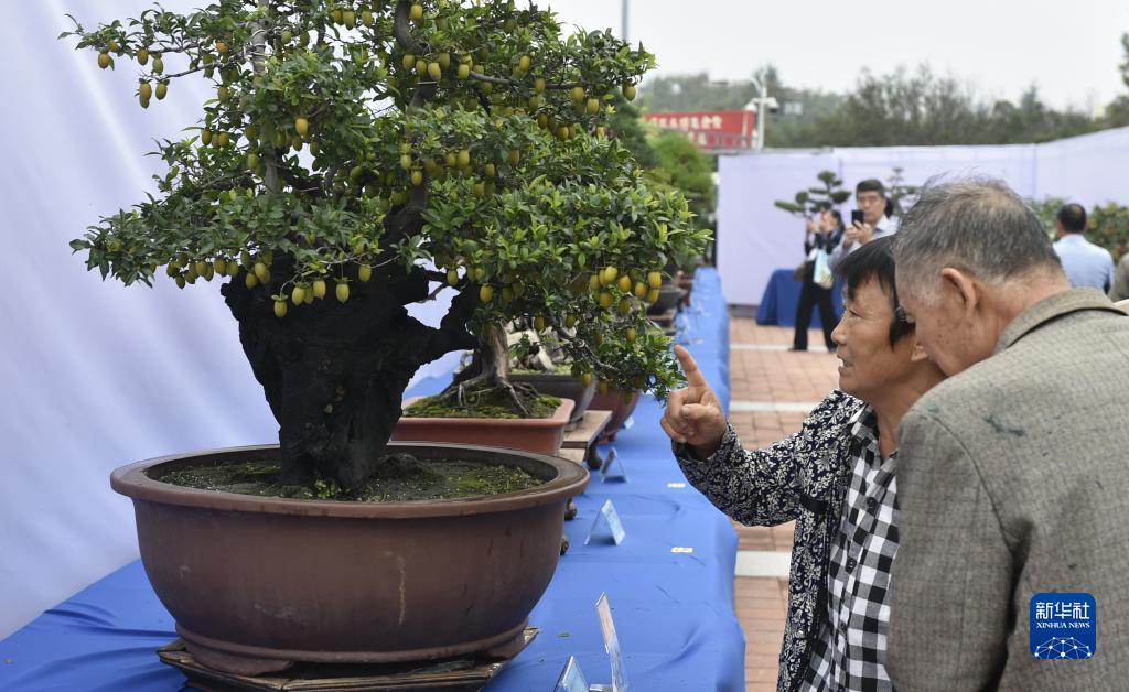 澳门新葡亰娱乐场801, 网址
